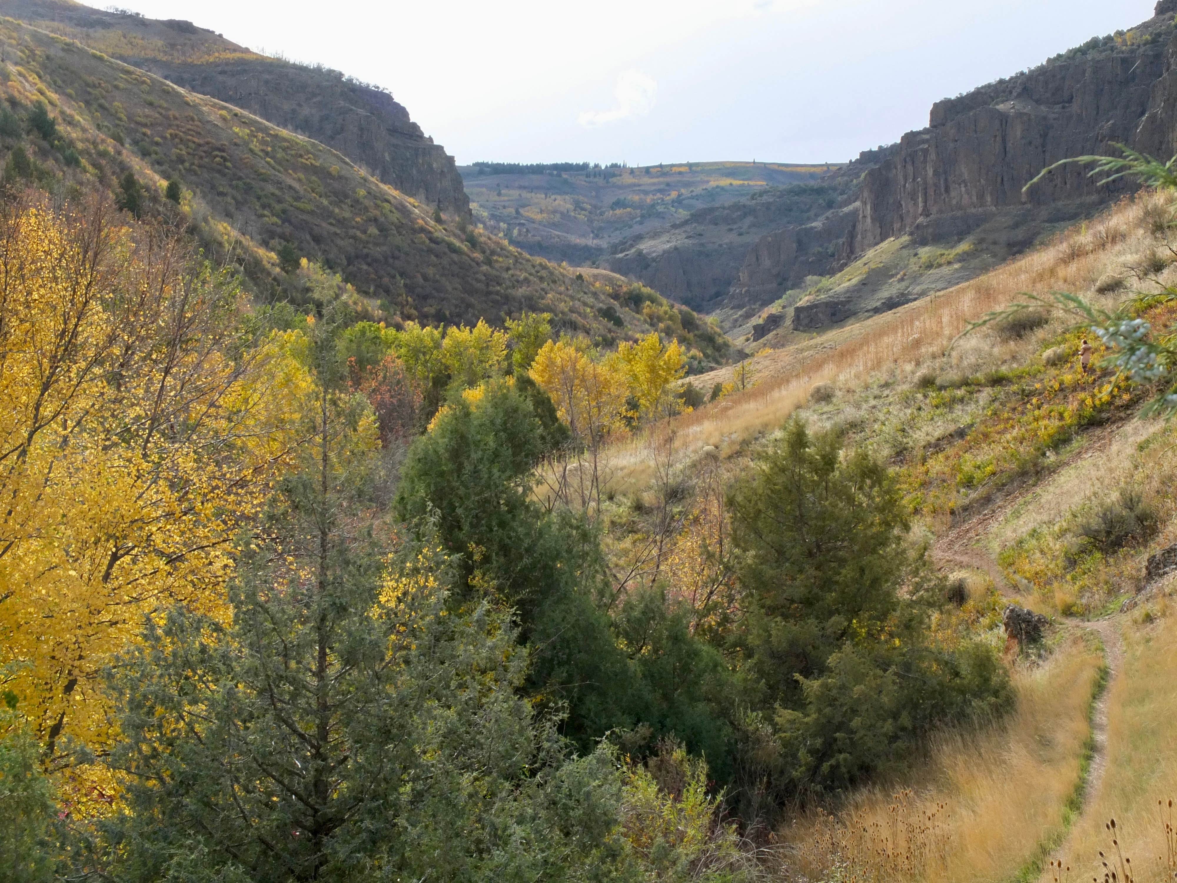 Camper-submitted photo at Third Fork Campground near Jerome, ID
