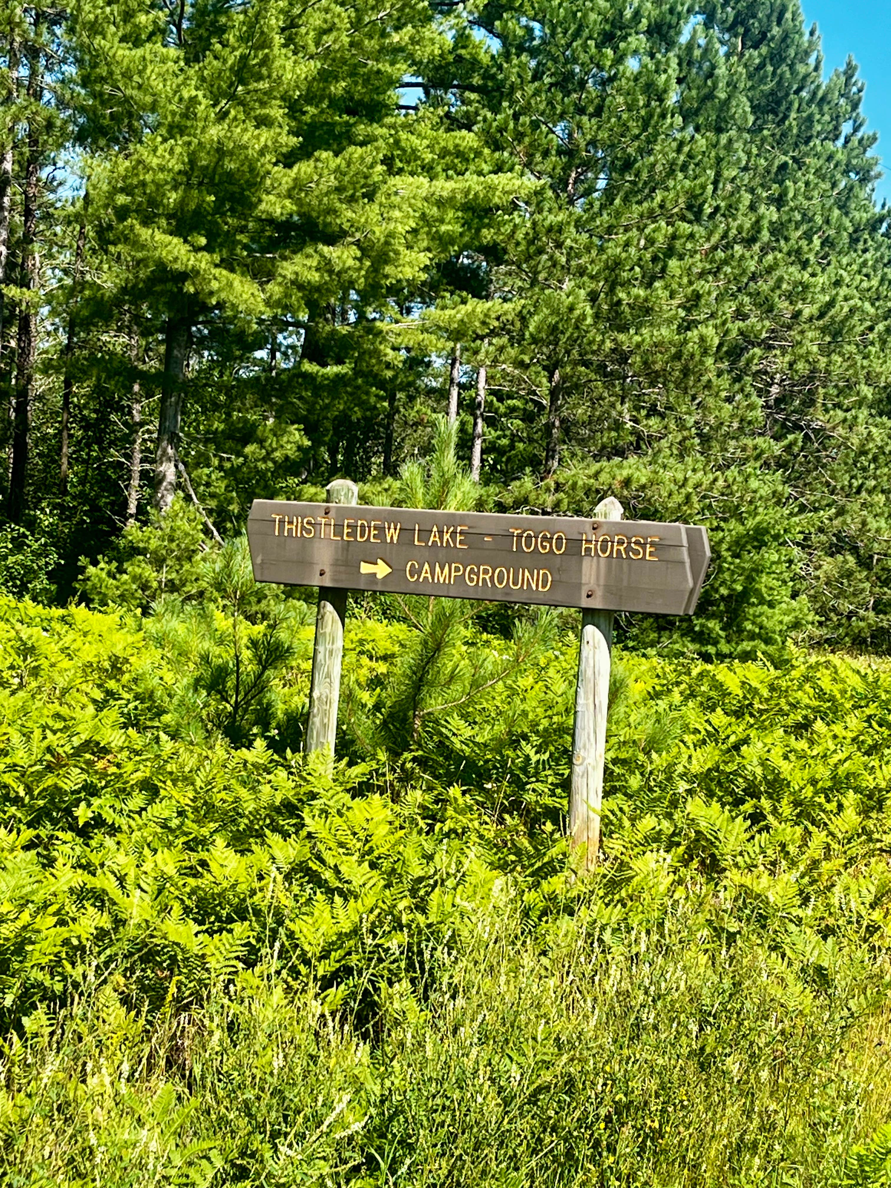 Camper-submitted photo at Thistledew Campground near Chisholm, MN