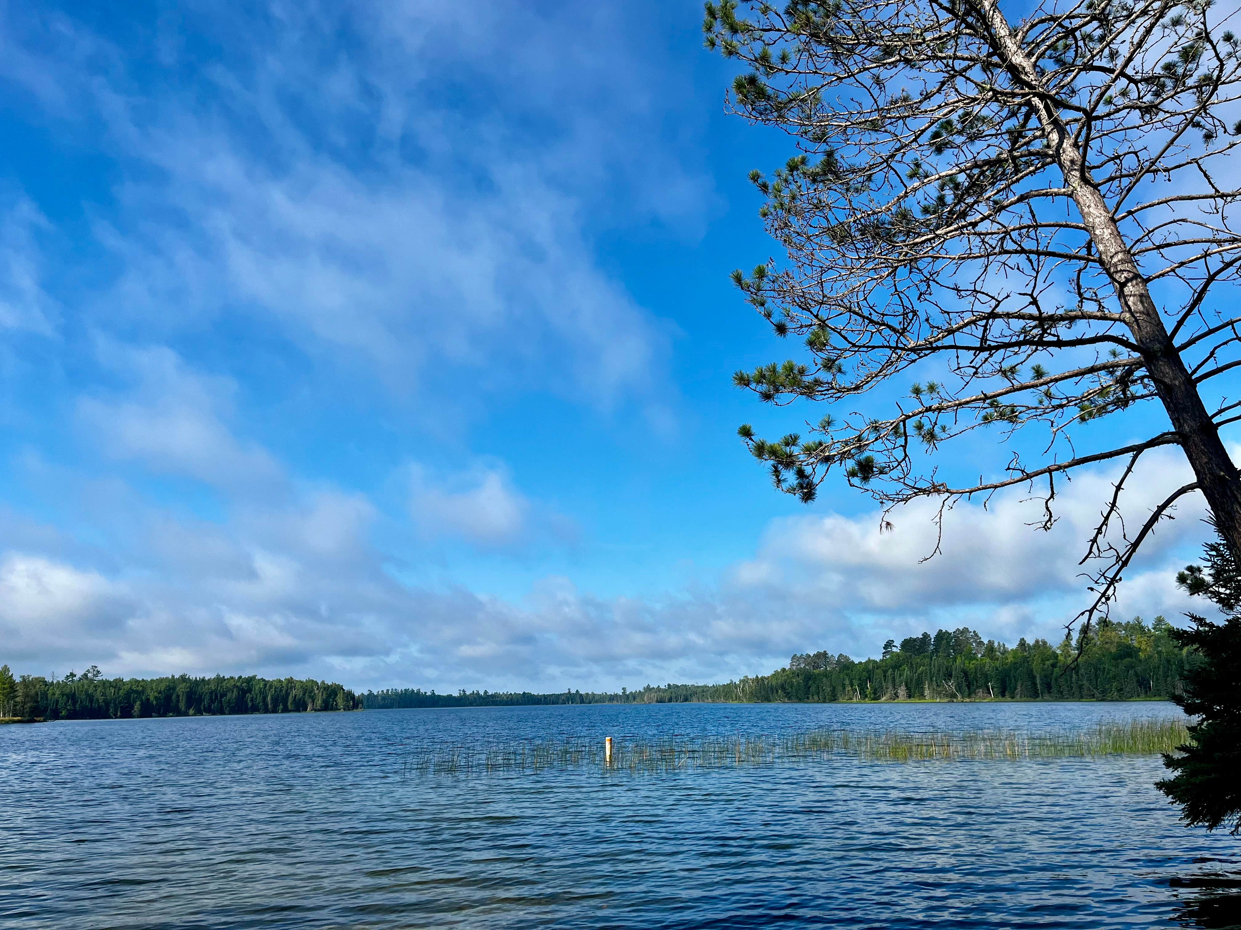 Camper-submitted photo at Thistledew Campground near Chisholm, MN