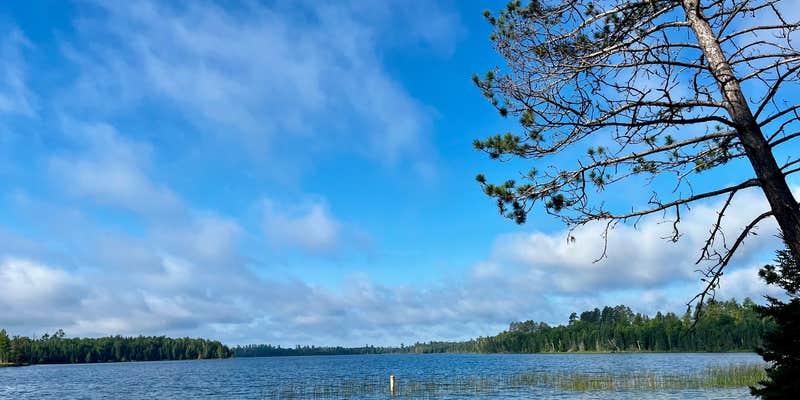 Camper submitted image from Thistledew Campground