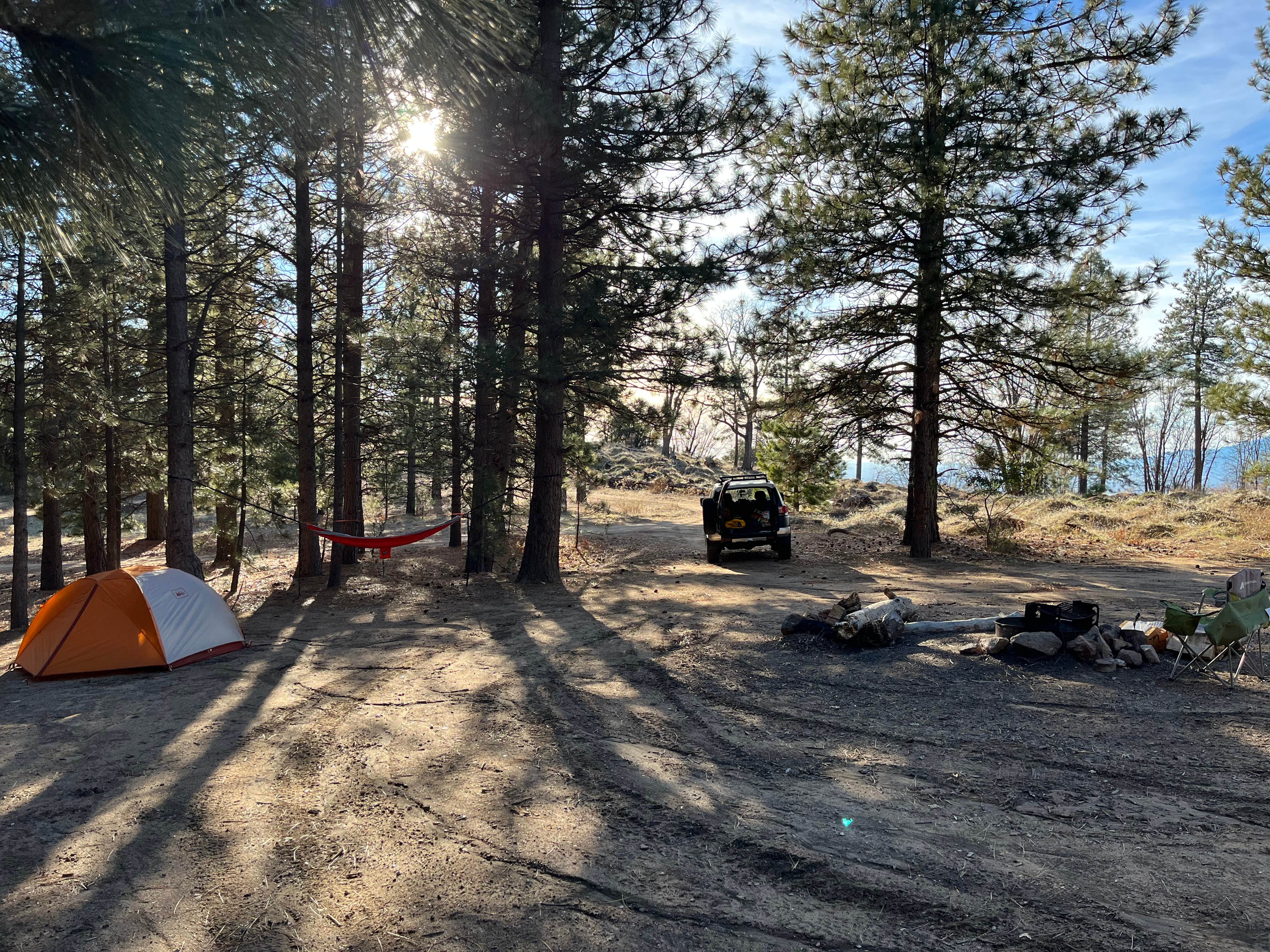 Anthony  R.'s photo at Thomas Hunting Grounds Yellow Post Campites near San Bernardino National Forest
