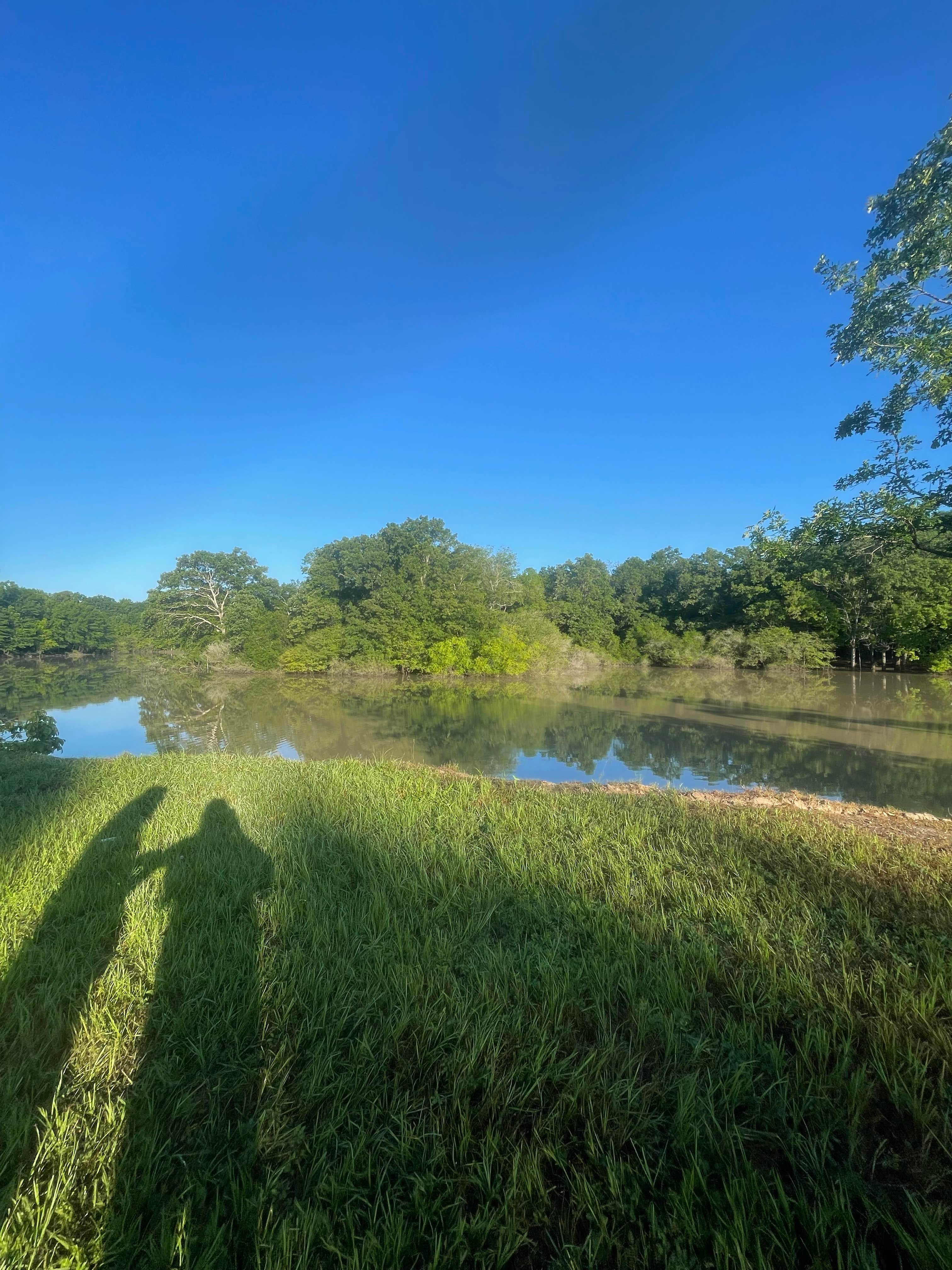 Emma H.'s photo of a dispersed camping area at Thomas Lake Park near Lake O' The Pines
