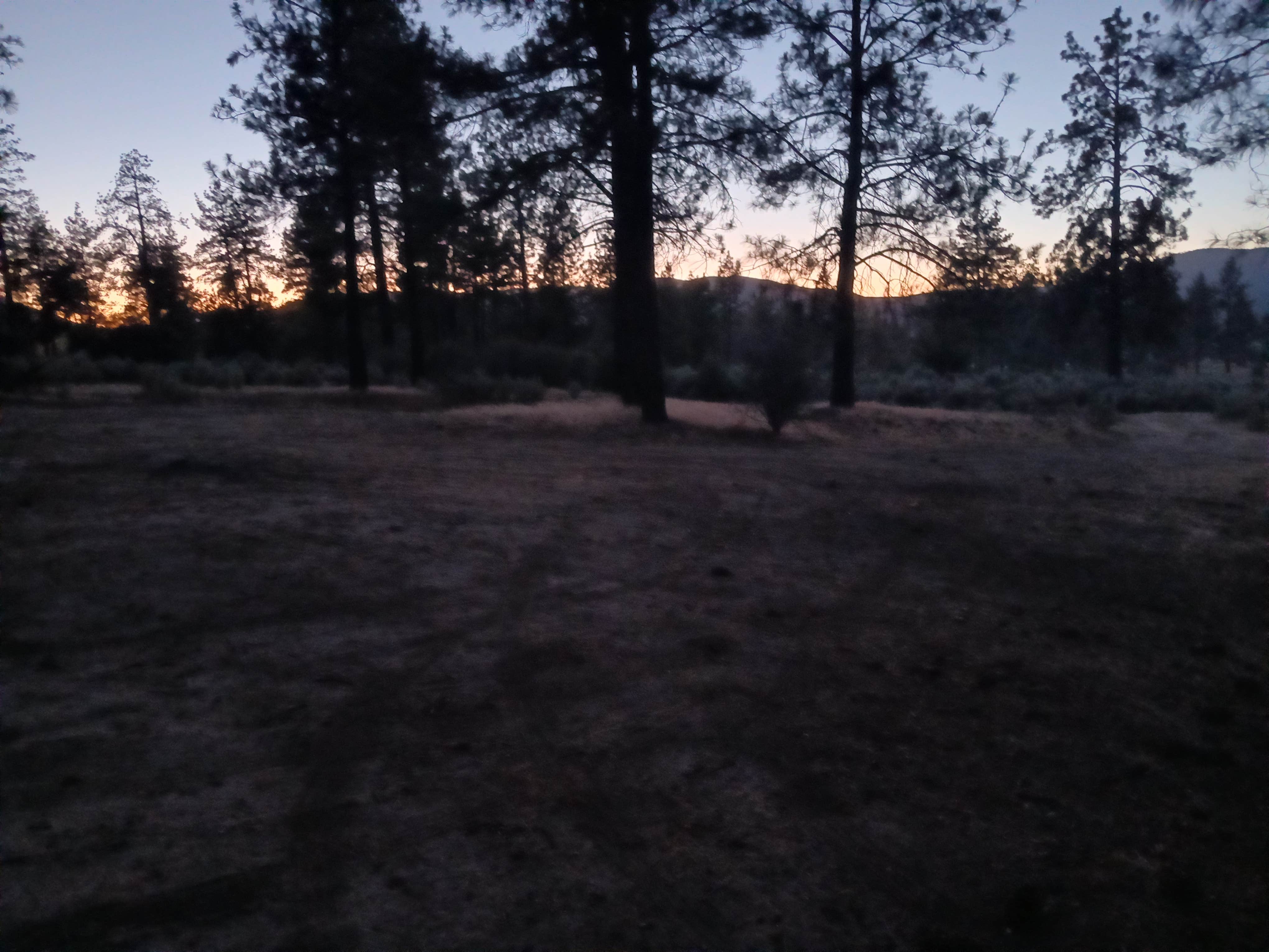 Camper submitted image from Thomas Mountain Road - 1