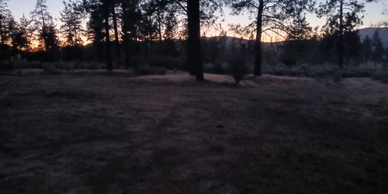 Camper submitted image from Thomas Mountain Road