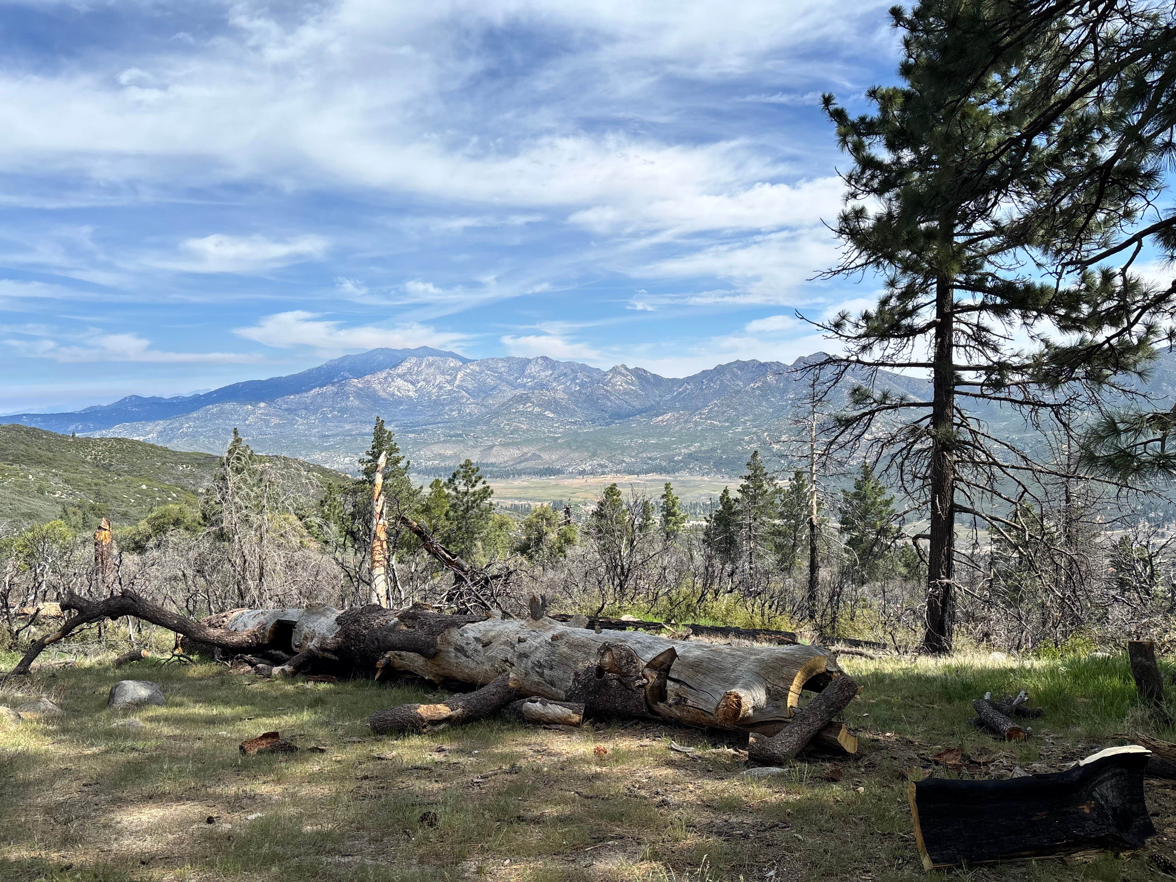 Camping near Pathfinder Dispersed Camping: Thomas Mountain Road, Mountain Center, California