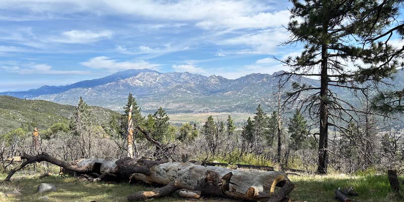 Camper submitted image from Thomas Mountain Road