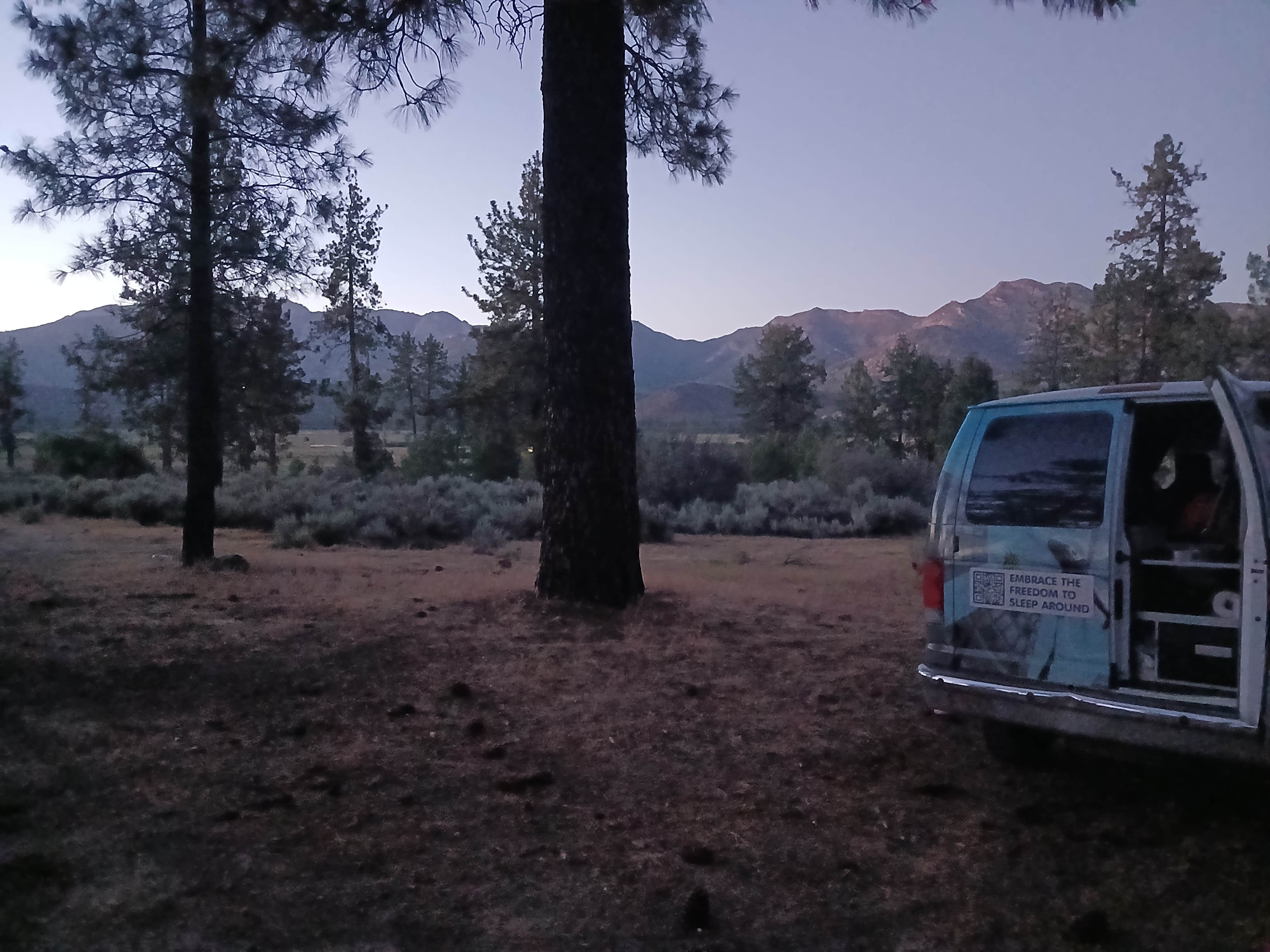Camper submitted image from Thomas Mountain Road - 3