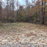 Review photo of Thompson Creek Trail Campsites by Crispin S., November 9, 2025