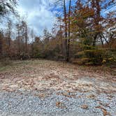 Review photo of Thompson Creek Trail Campsites by Crispin S., November 9, 2025