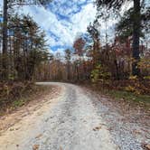 Review photo of Thompson Creek Trail Campsites by Crispin S., November 9, 2025