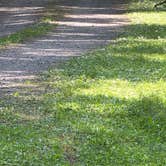 Review photo of Thornhurst Tract Roadside Campsites — Pinchot State Forest by Mike P., August 21, 2026