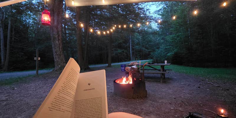 Camper submitted image from Thornhurst Tract Roadside Campsites — Pinchot State Forest