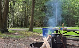 Mike P.'s photo at Thornhurst Tract Roadside Campsites — Pinchot State Forest near Gouldsboro, PA