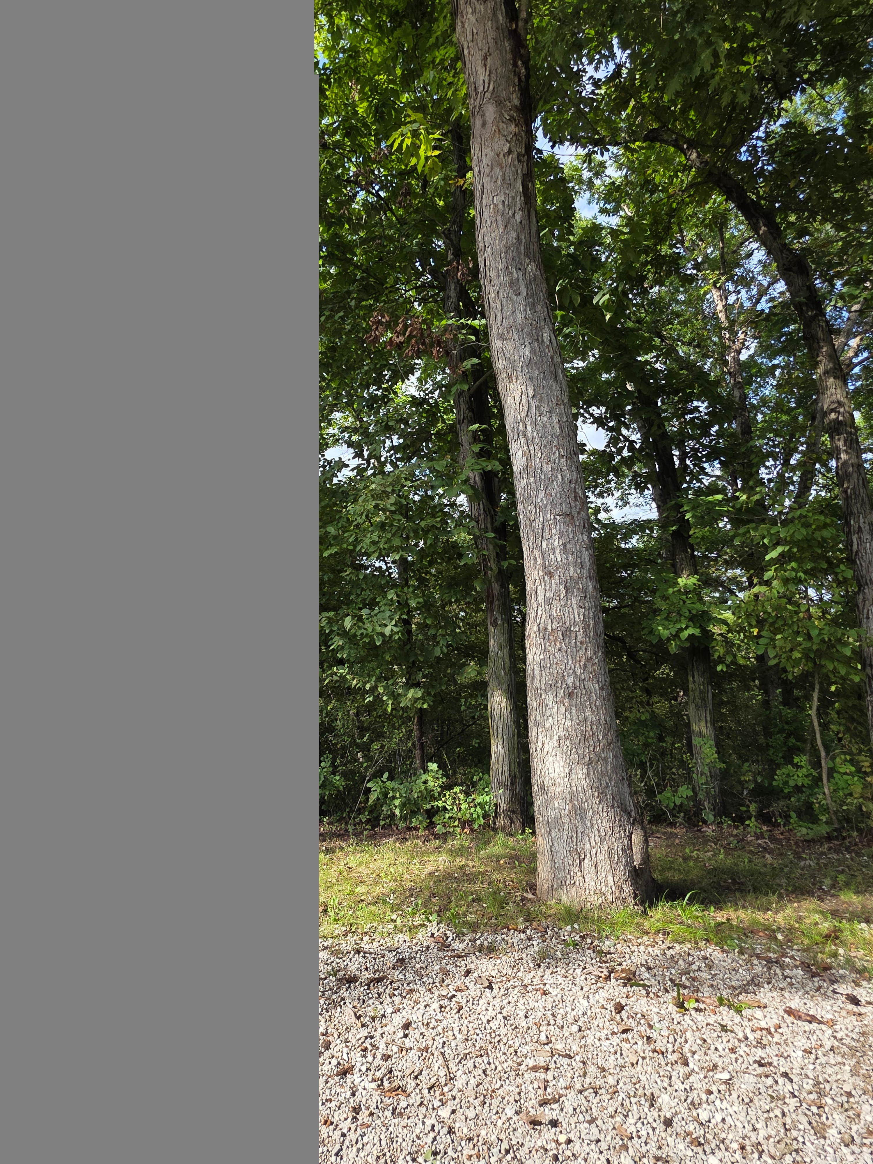 Camper-submitted photo at Thousand Hills State Park Campground near Macon, MO