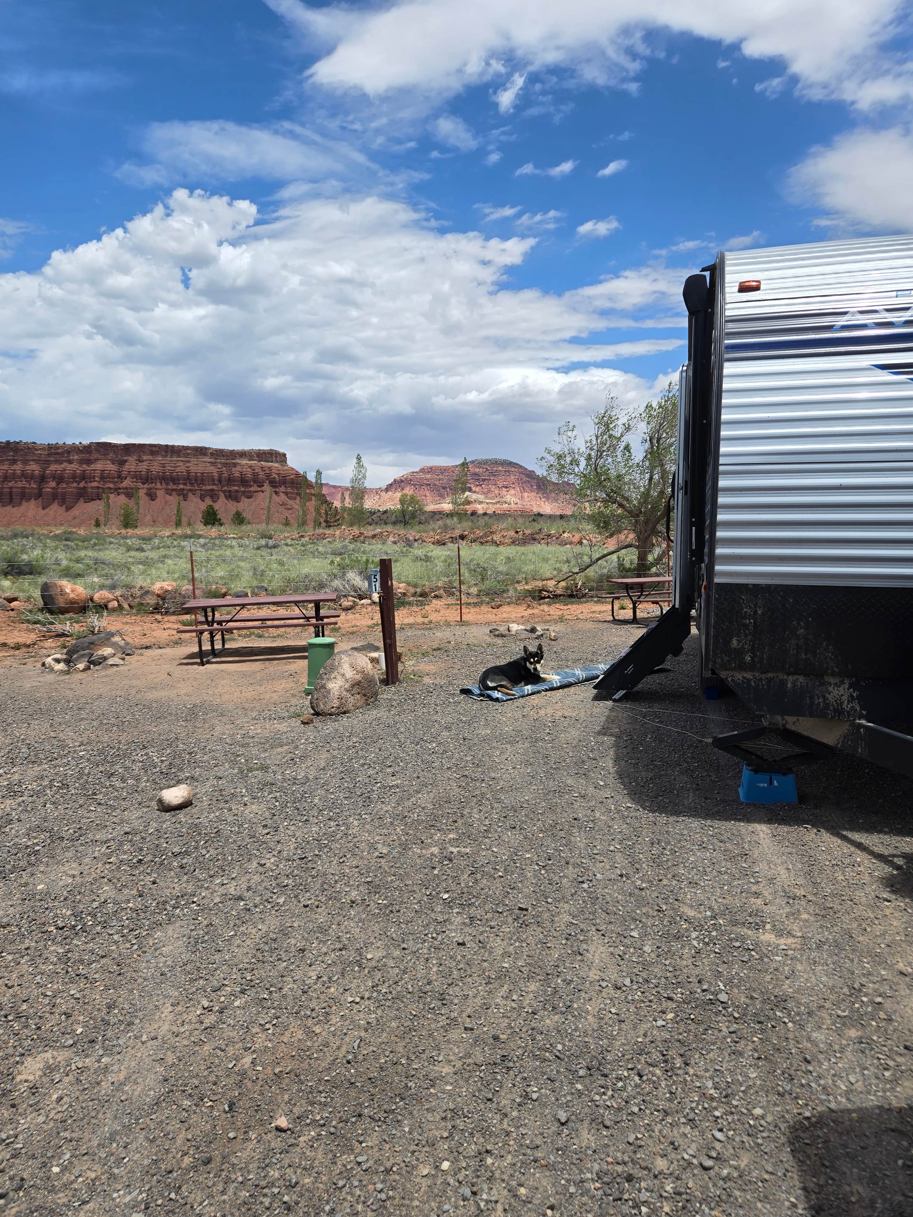 Tarrah C.'s photo of camping with pets at Thousand Lakes RV Park near Fremont, UT