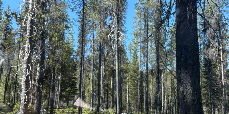 Camper submitted image from Thousand Springs