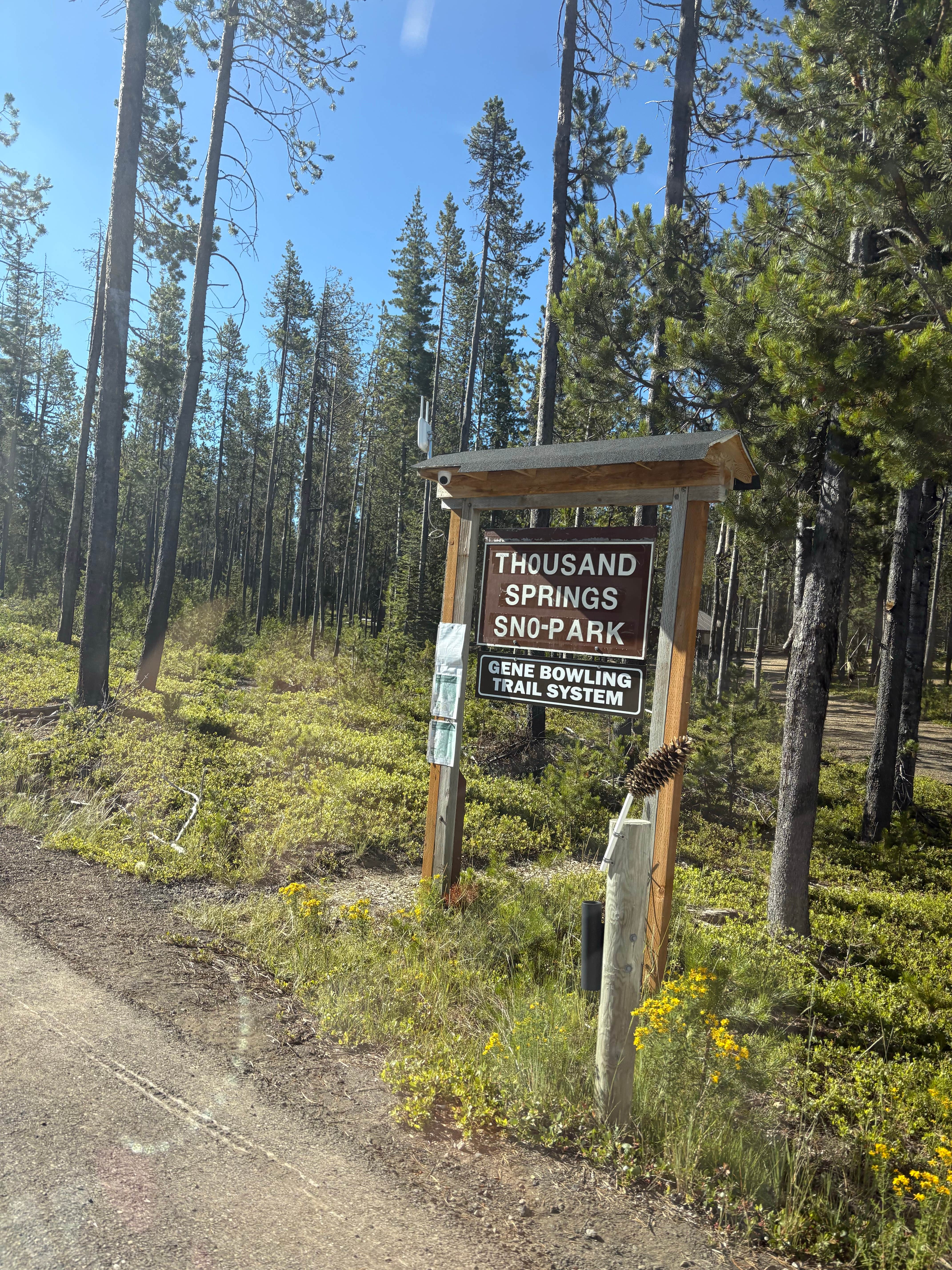 Camper submitted image from Thousand Springs - 4