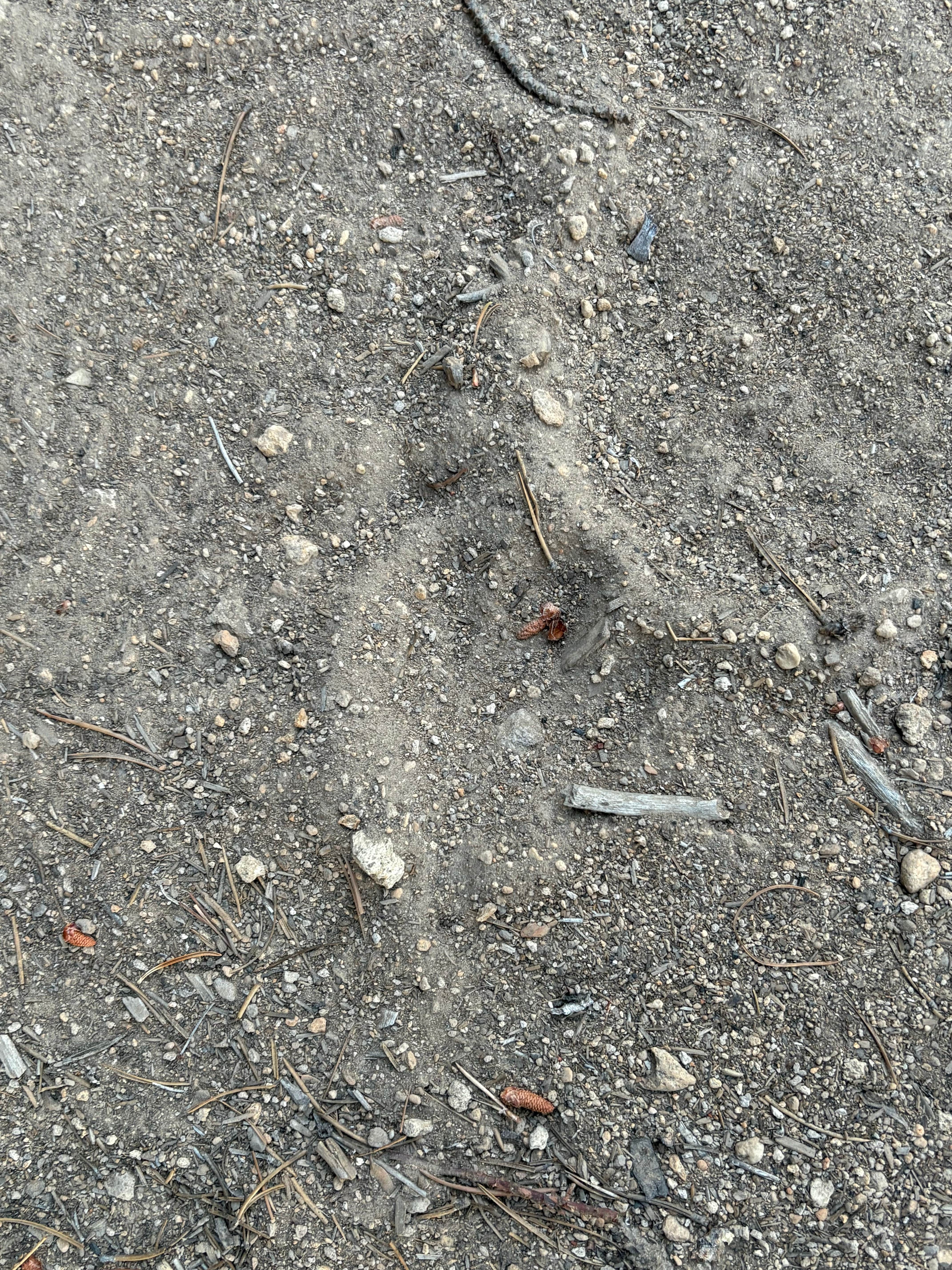 Camper submitted image from Thousand Springs - 3