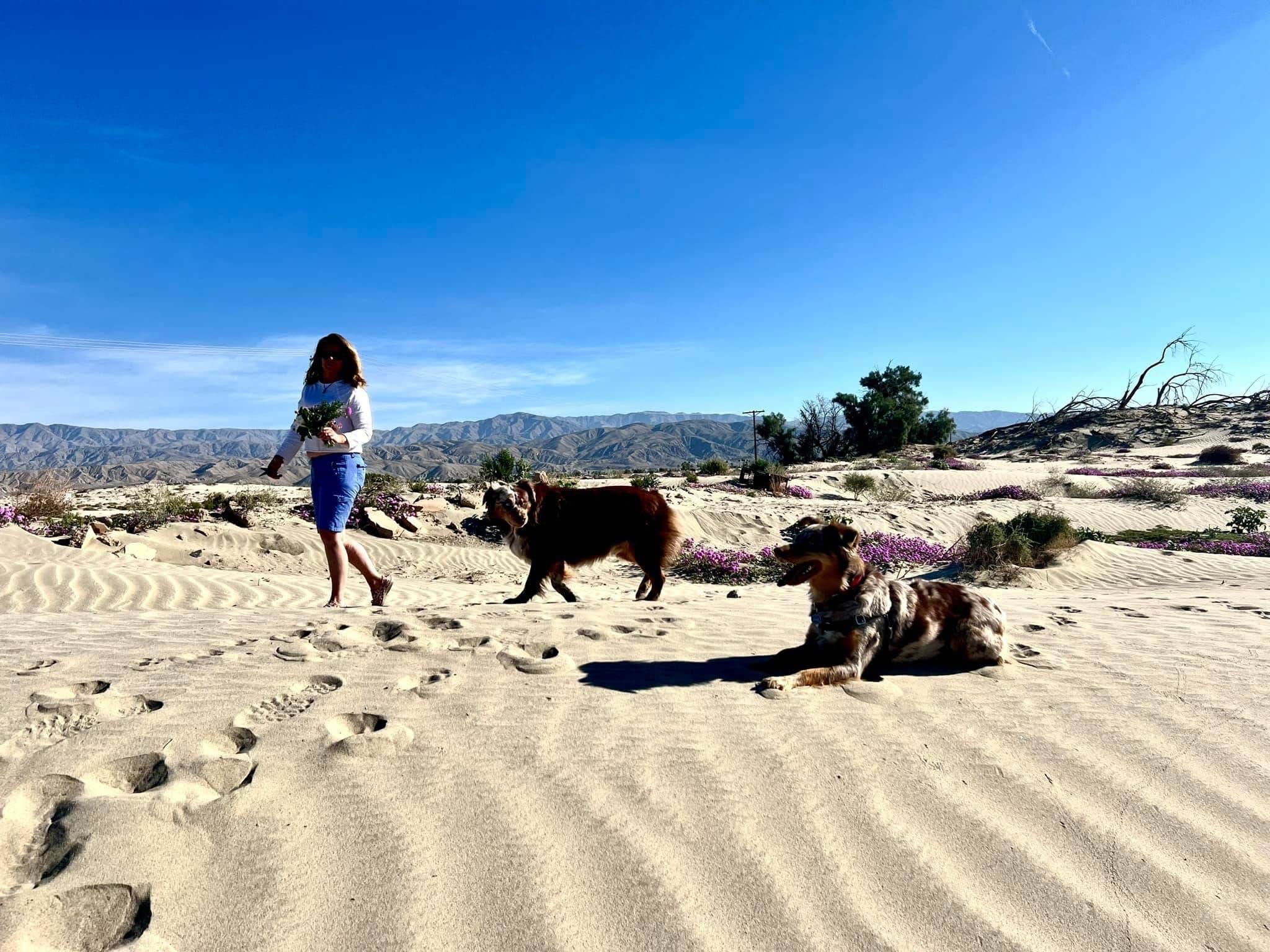 Karen S.'s photo of camping with pets at Palm Springs Thousand Trails near Indio, CA