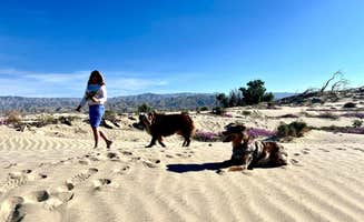Karen S.'s photo of camping with pets at Palm Springs Thousand Trails near Rancho Mirage, CA