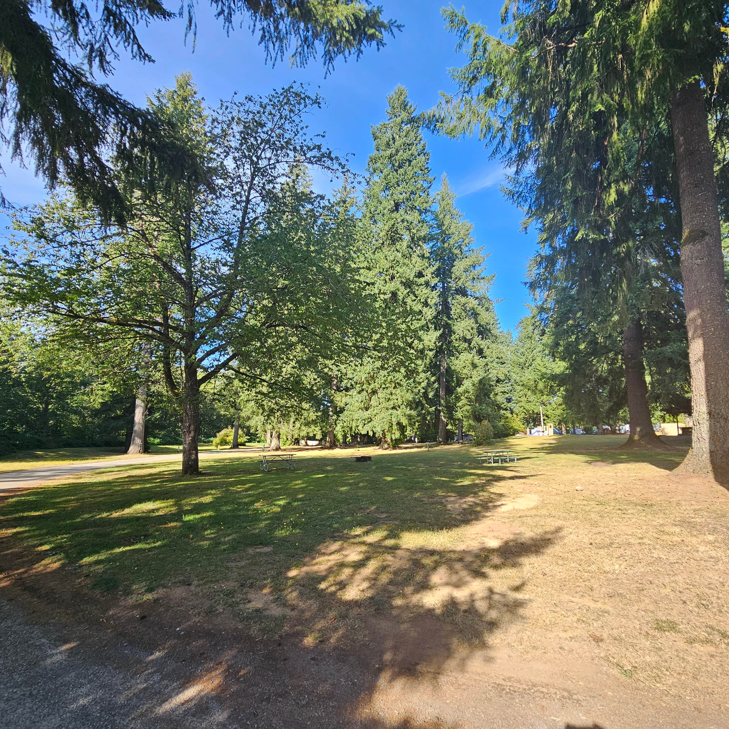 Camper-submitted photo at Thousand Trails Paradise RV Campground near Lacey, WA