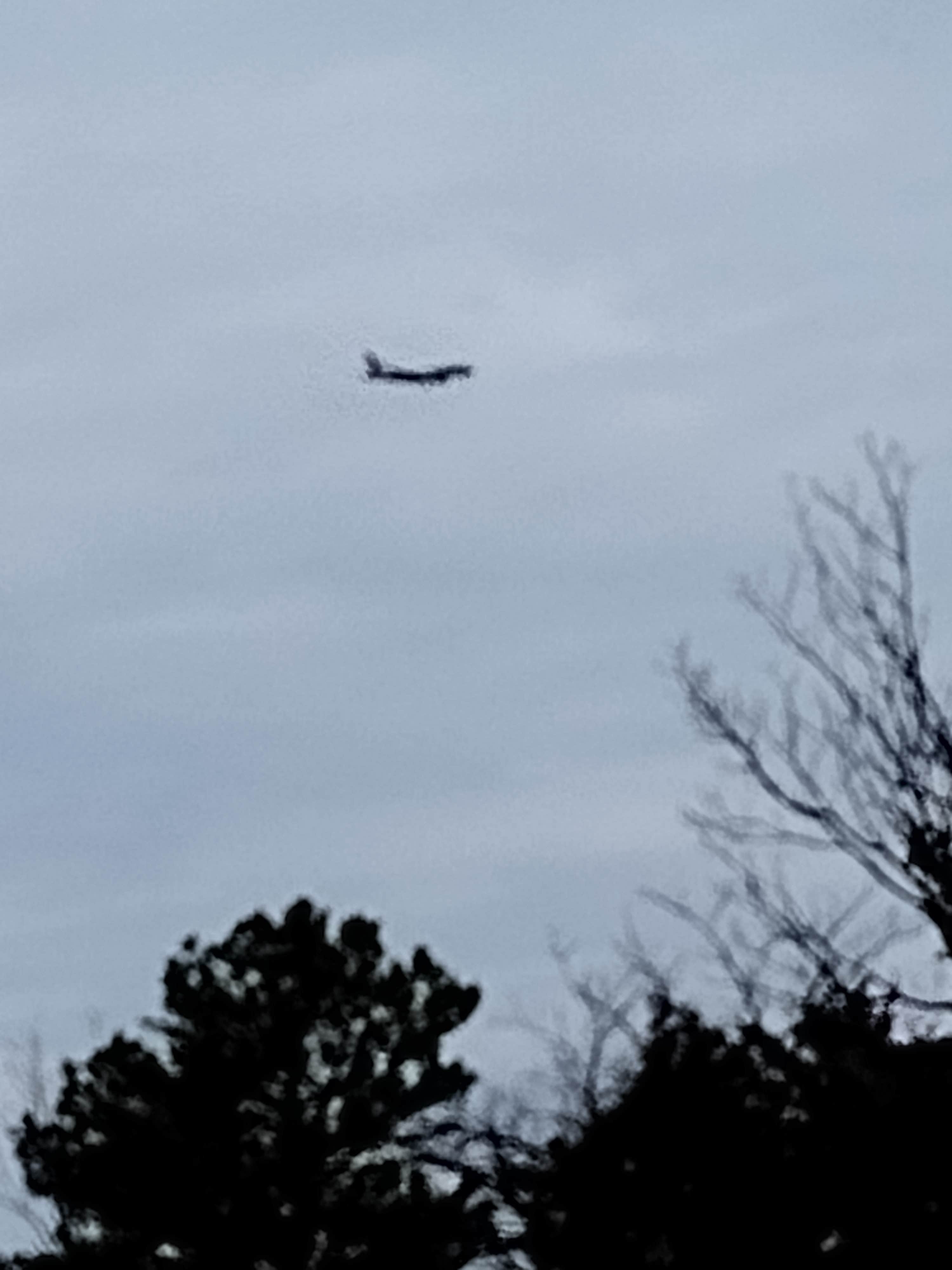 Camper-submitted photo at Three Creeks Conservation Area near Lohman, MO