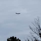 Review photo of Three Creeks Conservation Area by Ron R., April 29, 2025