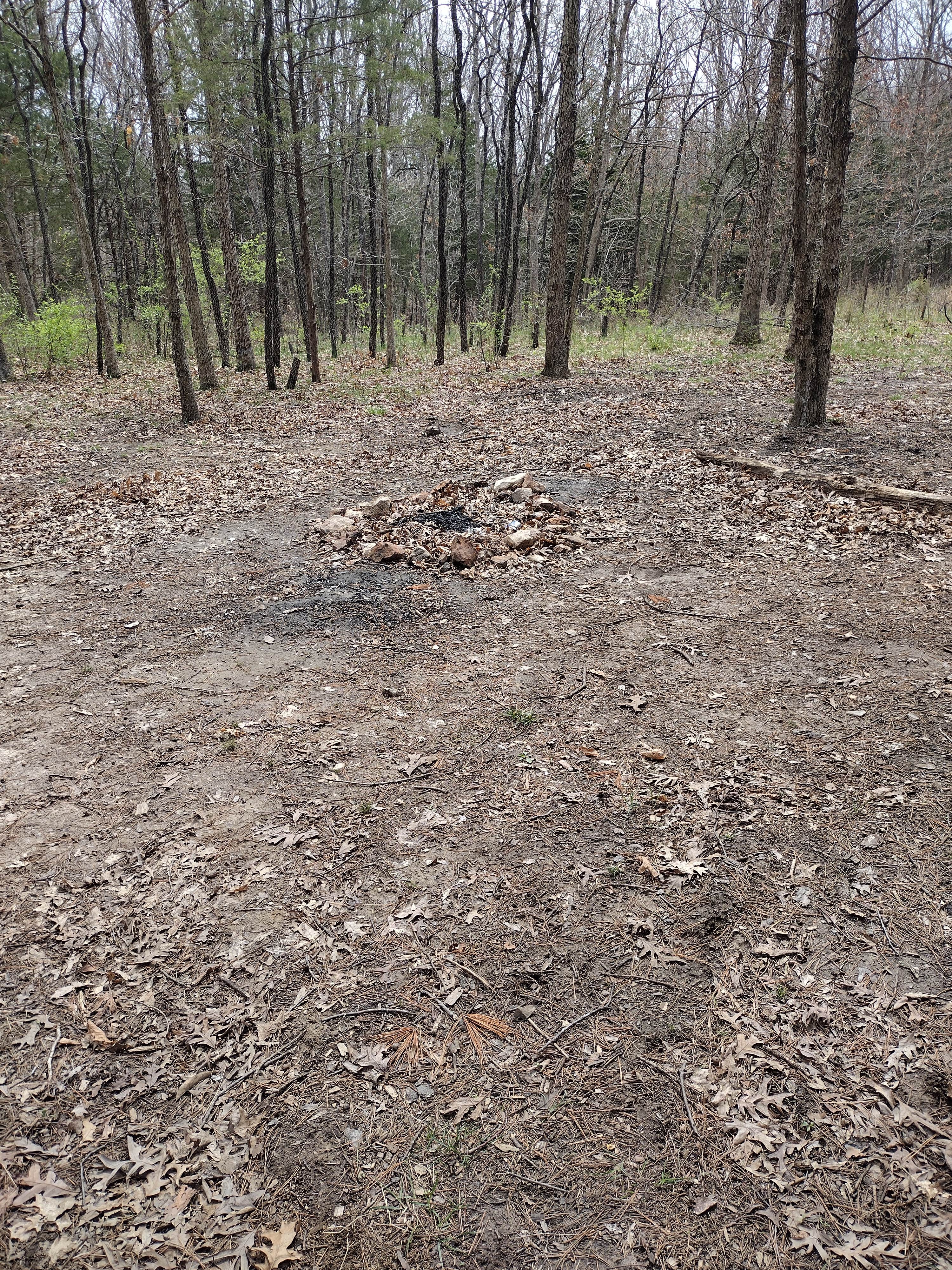 Camper-submitted photo at Three Creeks Conservation Area near Lohman, MO