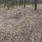 Review photo of Three Creeks Conservation Area by Ron R., April 29, 2025