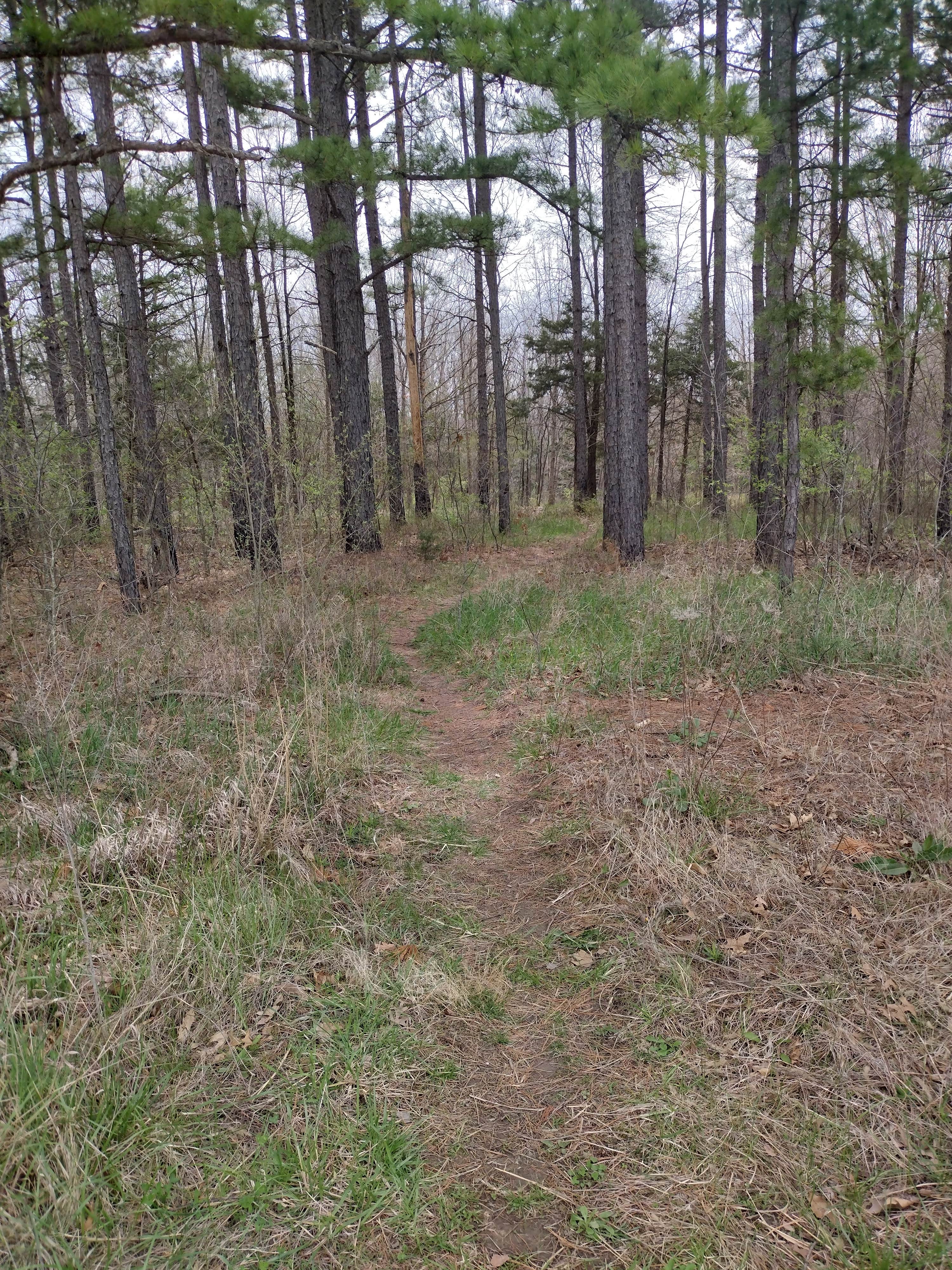 Camper-submitted photo at Three Creeks Conservation Area near Lohman, MO