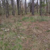 Review photo of Three Creeks Conservation Area by Ron R., April 29, 2025