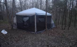 Ron R.'s photo of a dispersed camping area at Three Creeks Conservation Area in Missouri