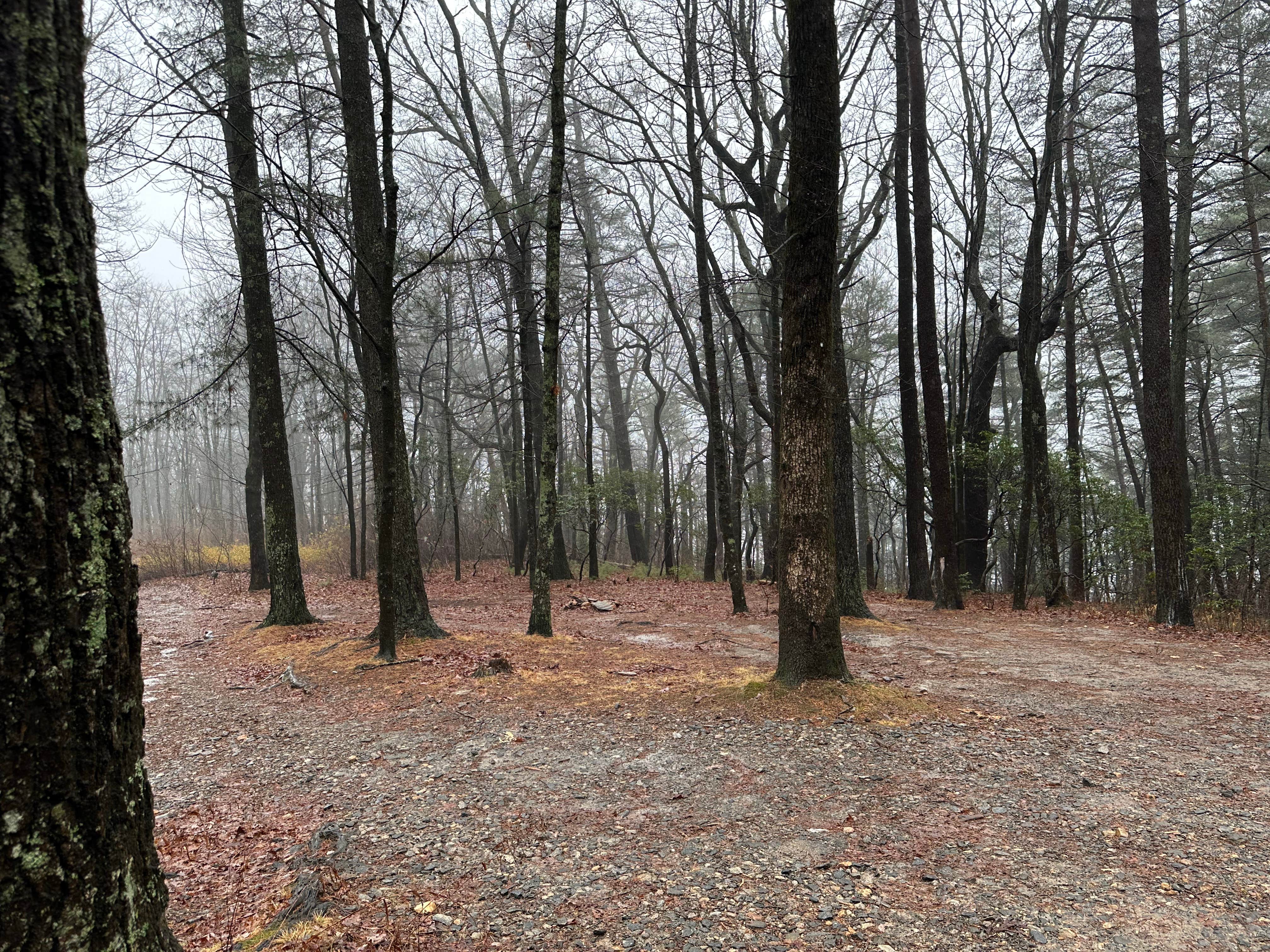 Camper-submitted photo at Three Forks Campground near Ellijay, GA