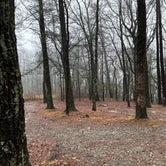 Review photo of Three Forks Campground by John F., February 16, 2024