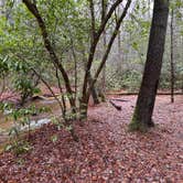 Review photo of Three Forks Campground by John F., February 16, 2024