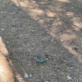 Review photo of Three Johns Lake Dispersed by Dean B., August 12, 2026