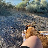 Review photo of Three Mile Canyon Park by Julia F., July 1, 2025