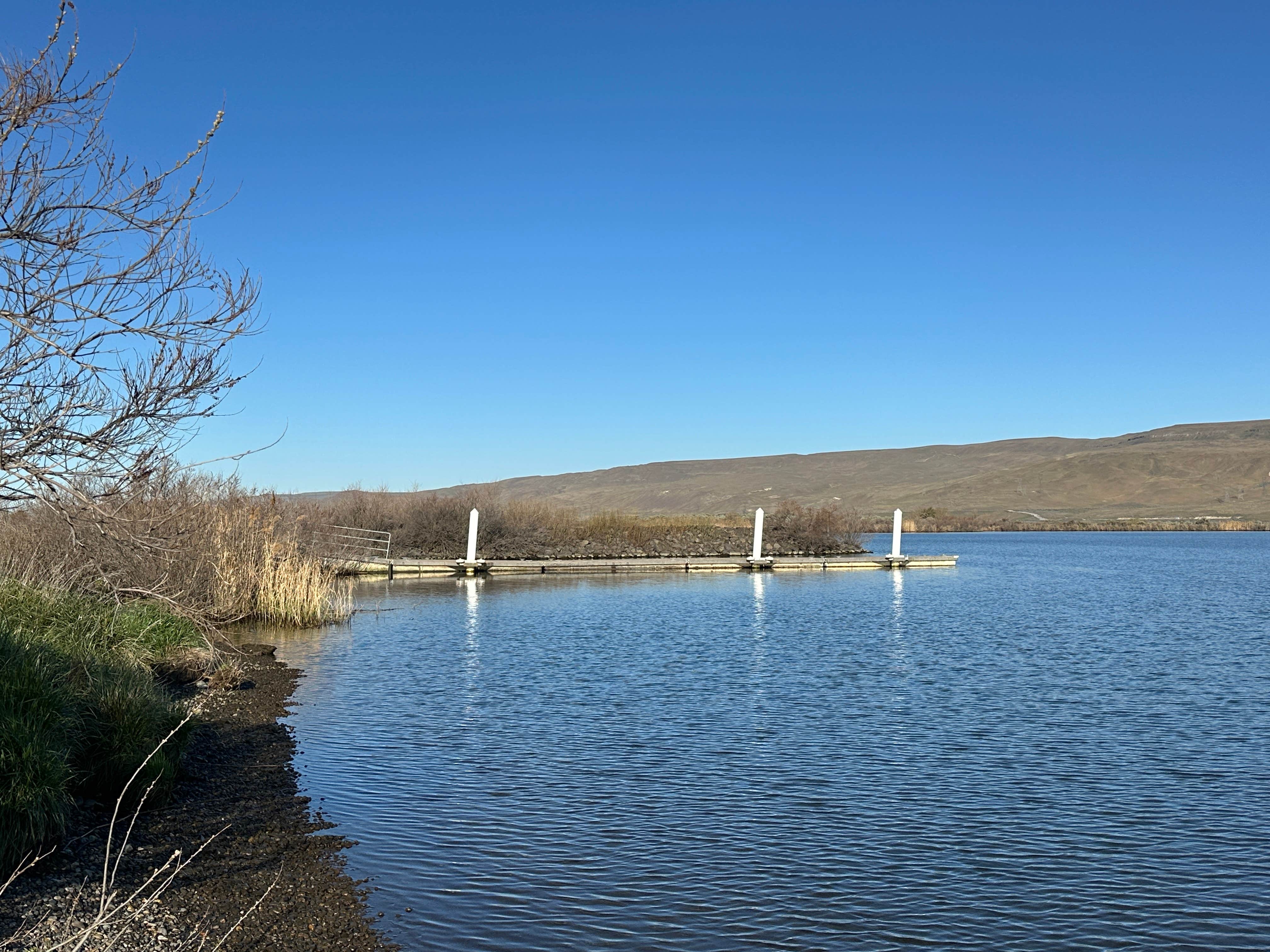 Kevin L.'s photo of a dispersed camping area at Three Mile Canyon Park near Pasco, WA