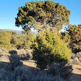 Review photo of Three Peaks Dispersed Camping by Denny K., March 20, 2026