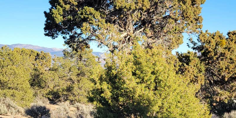 Camper submitted image from Three Peaks Dispersed Camping