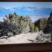 Review photo of Three Peaks Dispersed Camping by Denny K., March 20, 2026