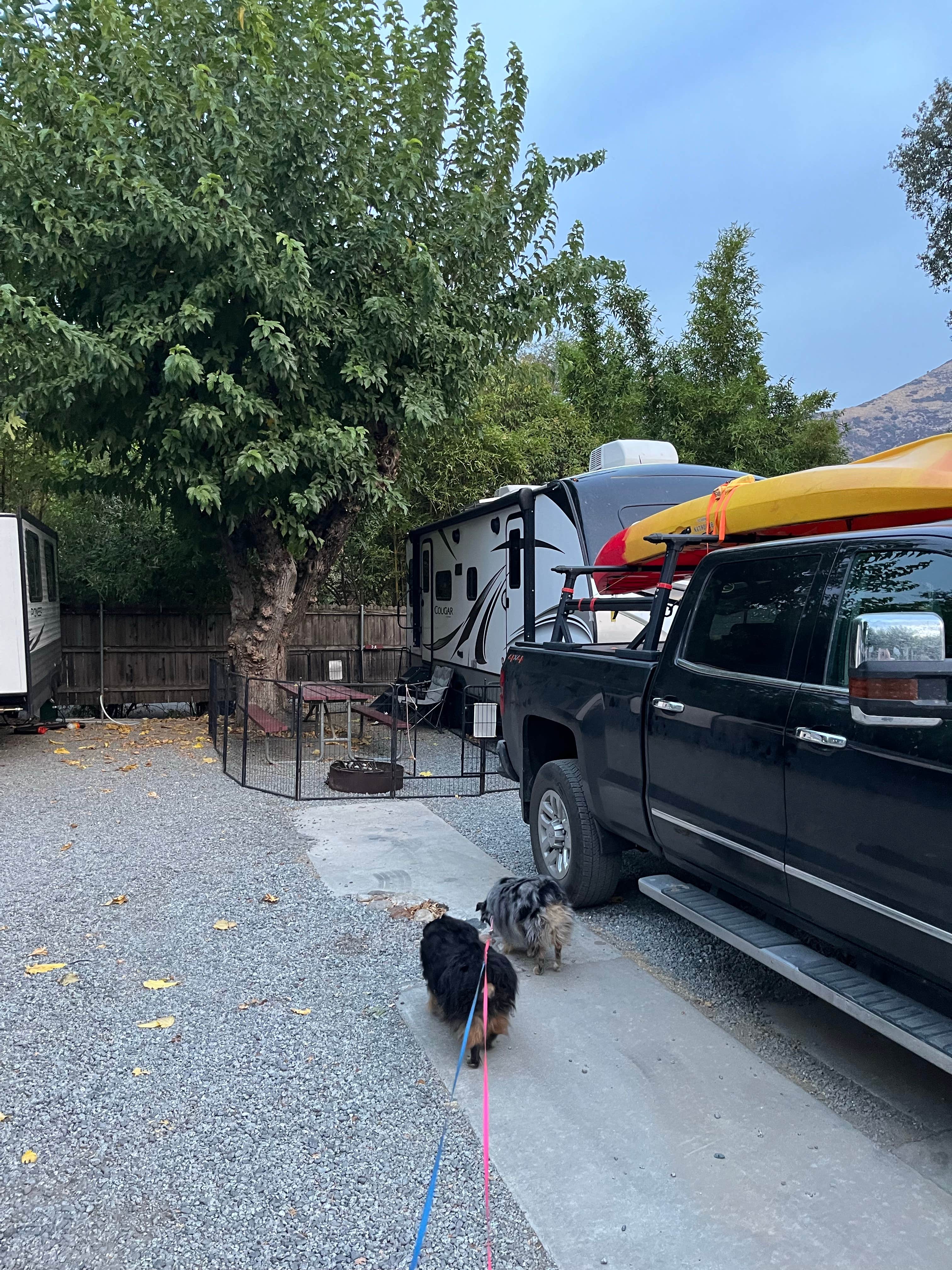Andrew N.'s photo of camping with pets at Three Rivers Hideaway near Kaweah Lake