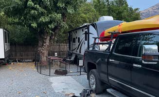 Andrew N.'s photo of camping with pets at Three Rivers Hideaway near Sequoia and Kings Canyon National Parks