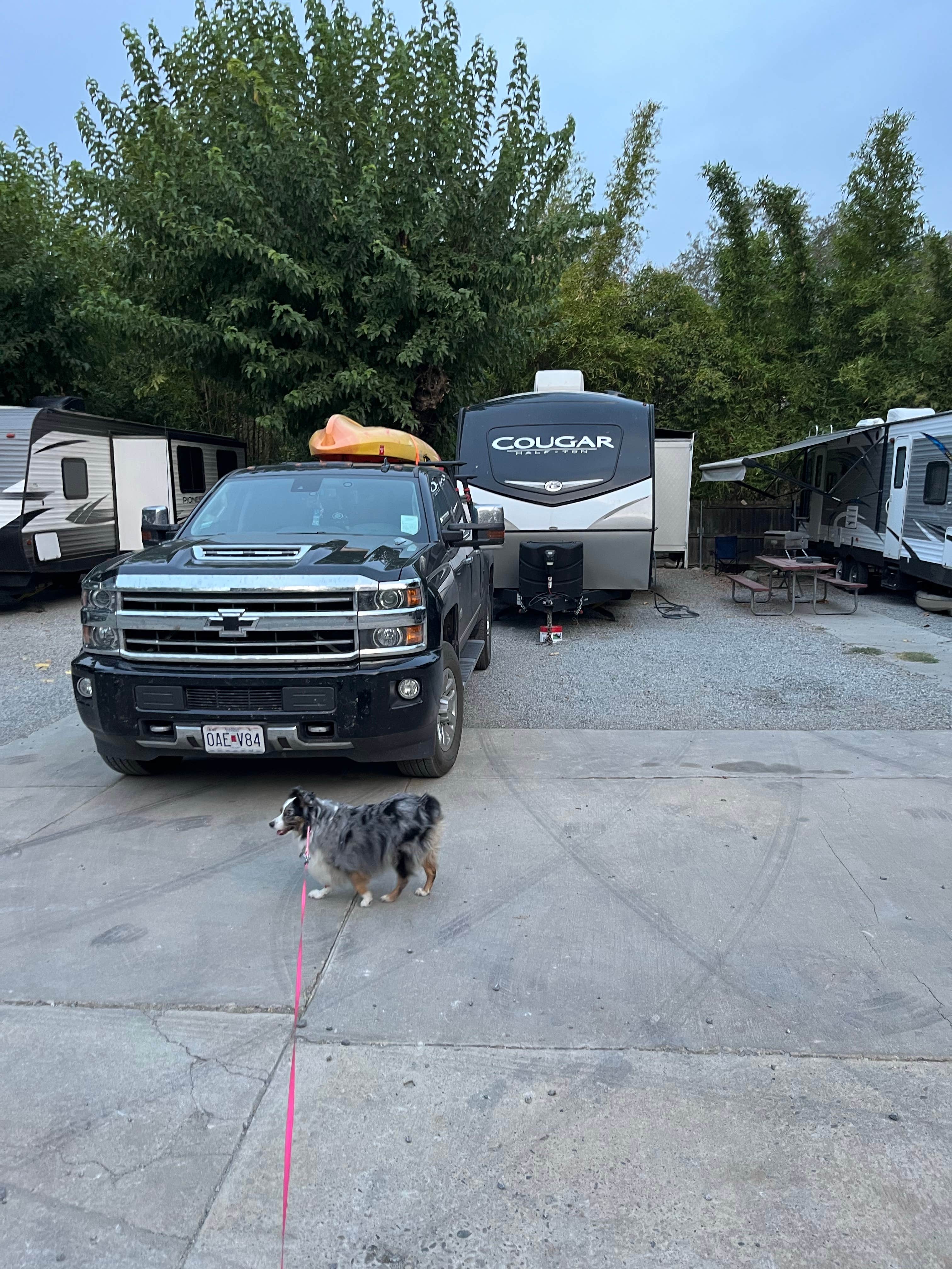 andrew's photo of rv camping at Three Rivers Hideaway near Springville, CA