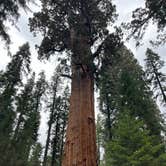 Review photo of Three Rivers Hideaway by andrew , September 20, 2025