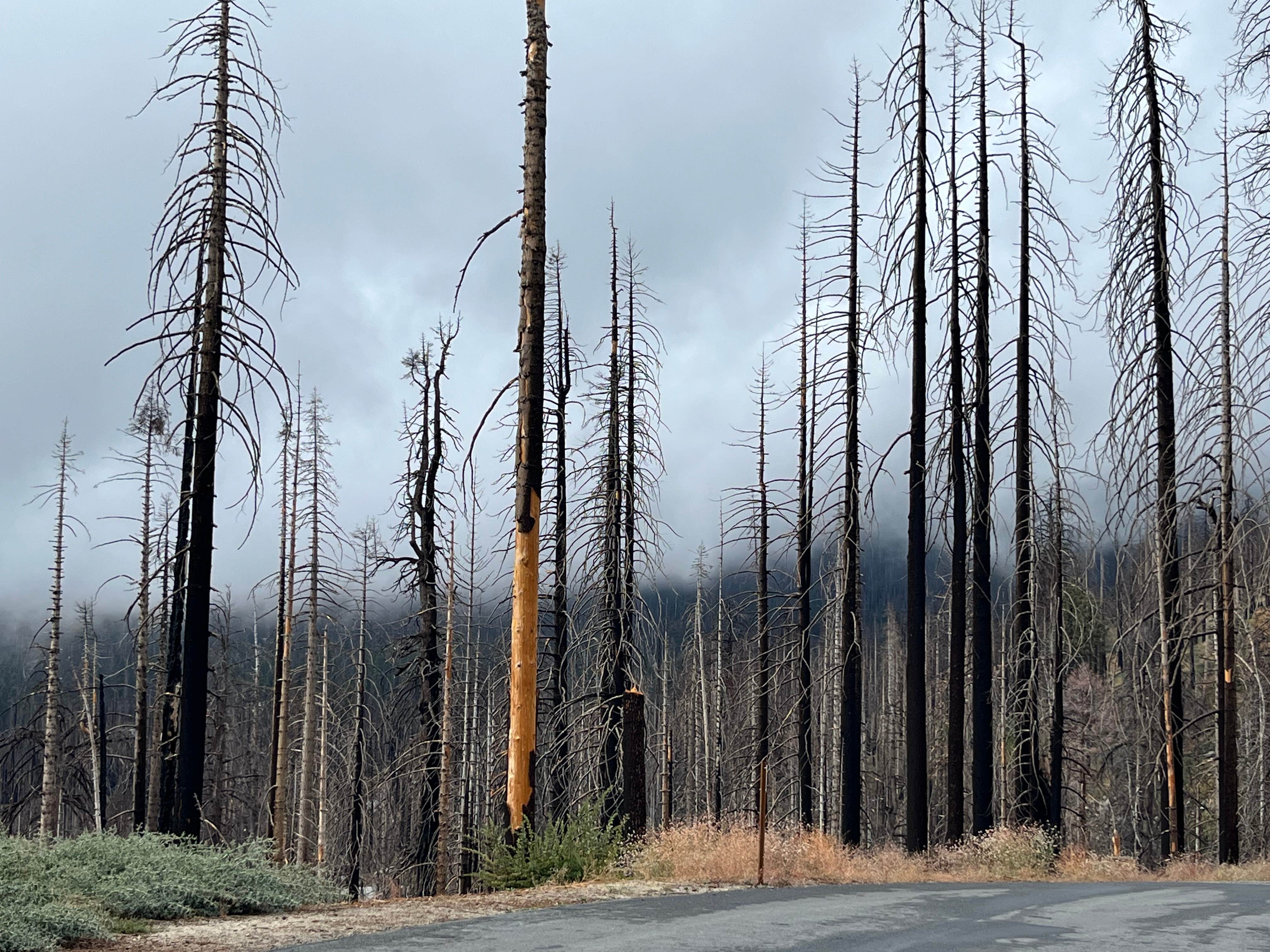 Camper-submitted photo at Three Rivers Hideaway near Porterville, CA