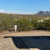 Review photo of Three Rivers Petroglyph Site by Alisa P., November 23, 2025