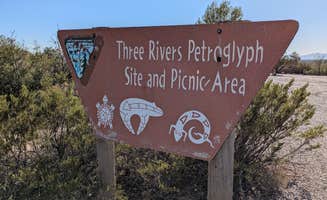 Haley S.'s photo of camping with pets at Three Rivers Petroglyph Site near Nogal, NM