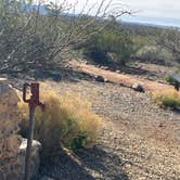 Review photo of Three Rivers Petroglyph Site by Roger W., May 4, 2024