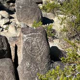 Review photo of Three Rivers Petroglyph Site by Paulette R., April 7, 2024